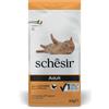 Schesir Croccantini per gatti Schesir Mantenimento Adult 10Kg pollo