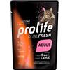 Prolife Cibo umido gatto Prolife Dual Fresch Adult 85g confezione da 6pz - Manzo e Agnello