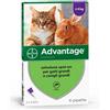 Advantage Antiparassitari per gatti e conigli grandi Advantage Spot-On 4 pipette 0,8ml