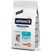 Advance Croccantini per gatti piccoli Advance Kitten gusto pollo - Scadenza 8 Ottobre 2025 - 1,5Kg