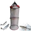Generic Cestino galleggiante per pesci, cesto da pesca per pesci catturati - Gabbia per pesci pescati vivi - Cesto galleggiante pieghevole per pesci, penna per esche a rete, gabbia per esche per pescare