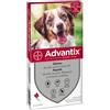 Bayer Advantix Cani 10-25 Kg 4 pipette pulci zecche per cane
