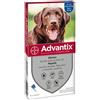 Bayer Advantix Cani 25-40 Kg 4 pipette pulci zecche per cane