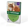 Bayer Advantage 40 Gatti fino a 4 Kg 4 pipette pulci e zecche