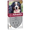 Bayer Advantix Cani oltre i 40 Kg 4 pipette pulci zecche per cane