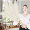 Lighterday Erba della pampa artificiale, 7 pezzi, 97 cm, grande, erba della pampa essiccata, alta erba della pampa, soffici e sintetici, per matrimoni, soggiorno, camera da letto, decorazione per la