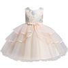 Generic Vestito da Bambina,Vestiti Neonato Femmina per Il Tempo Libero Basic a Linea A Abito Elegante Bimba Tutina Neonata Festivo Tulle Abito Festa di Compleanno 2-6 Anni