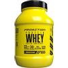 ProAction Protein Whey, Proteine concentrate del siero del latte ottenute per microfiltrazione per l'aumento della massa e miglioramento della definizione muscolare, Barattolo da 900g
