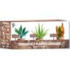 NOPALIA® Kit de Plantas Suculentas y Aloe Vera - Cultiva Tu Propio Mini Jardín - Agave, Carpobrotus y Aloe Vera - Regalo Ecológico y Original - Decoración para Casa y Oficina - DIY