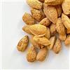 Il Contadino - Antichi Sapori | MANDORLE IN GUSCIO TOSTATE E SALATE | Confezione Salva Freschezza, Tostatura Frequente, Frutta Secca di Qualità Premium, No Conservanti (500g)