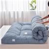YOUGANG Materasso futon giapponese, poliestere, matrimoniale, rigidità media, blu, 100 x 200 cm