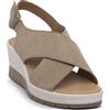IGI & CO CLAIRE CHAMPAGNE