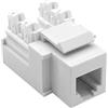 Mach Power Frutto Keystone Telefonico RJ11/RJ12 - Colore Bianco (NW-KTEL-WH)
