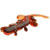 Savage Gear Craft Crawler -Esca per pesce persico, spigola e trota - senza erbacce, profumata e salata - versatile per pescatori d'acqua dolce e salata Chartreuse Pumpkin 12,5 cm