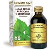 Dr Giorgini Integratore Alimentare, Betulla Bianca Gemme Gemmoderivato Concentrato Liquido Analcoolico - 100 ml