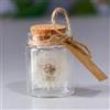 Shirene Vero Dente di Leone in un Bicchiere,Regalo di Dente di Leone Fatto a Mano Regali per Donne Amanti dei Desideri Veri Leone in Vetro Compleanno,San Valentino,Matrimonio,Fidanzata,Mamma,Sorella,Ragazza