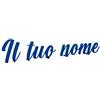 VENEZIANO Gruppo Veneziano - Scritta in plexiglass personalizzata 30-40-50-75 cm - nome in plexiglass specchiato personalizzato - Altezza massima 15cm spessore 3 mm - 100% made in Italy