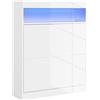 HOMCOM Scarpiera da ingresso, armadio, scarpiera da parete, con luci a LED, mensola aperta e 2 cassetti apribili, per 12-16 paia di scarpe, 80 x 24 x 99,5 cm, bianco lucido