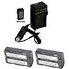 Power 2000 2 batterie + caricatore per Panasonic PV-DV852, Panasonic PV-DV900, Panasonic PV-DV901, Panasonic PV-DV910, Panasonic PV-DV951