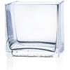 matches21 HOME & HOBBY matches21 - Vaso decorativo in vetro rettangolare, trasparente, 14 x 14 x 14 cm