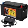 FEENCE Batteria LiFePO4, 190 mm, 12 V, 100 Ah, max. 1280 W, batteria al litio da 100 Ah con BMS integrata, 5000 - 15000 volte, supporto 4S4P, perfetta come fonte di alimentazione per camper e