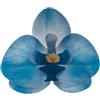 dekora - Fiori commestibili per torte - 10 orchidee in cialda blu 8.5 x 7.5 cm, Senza zucchero, glutine e lattosio, Decorazioni per cupcake, Torta di compleanno, matrimonio e battesimo