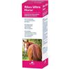 N.B.F. LANES Srl N.b.f. Lanes Ribes Horse Ultra Shampoo Dermatologico 1 Litro