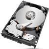 Seagate Hard Disk Seagate ST2000NT001 3,5" 2 TB 2 TB SSD 2 TB HDD