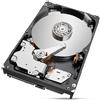 Seagate Hard Disk Seagate ST2000NT001 3,5" 2 TB 2 TB SSD 2 TB HDD
