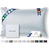 RENESSY Federa in Seta 100% Bio 50x75 cm - 22 Momme Seta di Gelso, Grado 6A, Certificata Oeko-Tex in Germania - Lusso per i Capelli e la Pelle, 1 Pezzo (Blu Nuvola)