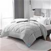 WAVVE Piumino Letto Piazza e Mezza Quattro 4 Stagioni - Piumone Autunnale Invernale 200 x 200 cm - Coperta Trapunta 200x200 di Microfibra Sintetico, Grigio Chiaro