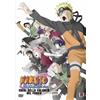 Naruto Shippuden - Il Film - Eredi Della Volontà Del Fuoco [DVD]