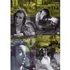 PRIMO: BENIGNI ONDA LIBERA - Vol.1-2-3-4 (4 Dvd) [DVD]