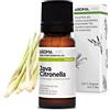 Aroma Labs - Citronella Di Giava BIO - Olio Essenziale Chemiotipizato e Certificato AB - 10 mL