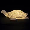 Villa d'Este Home Tivoli 1996 Tartaruga marina led decorativa in ceramica 24x18,5x6,5 cm, Ocean