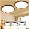 slochi 2 Pezzi Plafoniera LED Soffitto, 3000K/4000K/6500K Impermeabile Lampada da Soffitto, 18W 1800LM Plafoniera Bagno per camera da letto, Cucina, Soggiorno, Balcone, Ø22cm