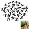 Rakiuty Giocattoli Formica Forniture,Giocattolo Educativo Formiche,Insetti di Plastica Realistici Halloween,Formica di Simulazione Formiche Black,Formica Bug Falsi Bug
