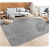 Paco Home Tappeto Pelo Corto, Lavabile, Monocolore, Semplice e Moderno, per Soggiorno, Camera da Letto e Ingresso, Dimensione:60x100 cm, Colore:Antracite