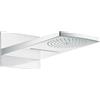 hansgrohe Raindance Rainfall Soffione doccia 180 2 getti, cromo, 28433000