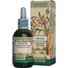 ARCANGEA Srl PROGEA 50ML ARCANGEA