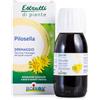 Boiron Estratti di Piante Pilosella - Drenante naturale, Ritenzione Idrica 60 ml | integratore alimentare, 100% origine naturale, detox, drenaggio dei liquidi corporei, sensazione di gonfiore, pesantezza