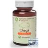 Funghi Energia & Salute Chaga Basic 120 Compresse