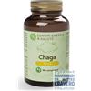 Funghi Energia & Salute Chaga Plus 90 Compresse