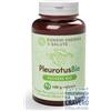 Funghi Energia & Salute Pleurotus Polvere Bio 100 Grammi