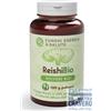 Funghi Energia & Salute Reishi Polvere Bio 100 Grammi