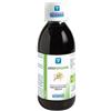 Ergydraine 250 ml