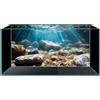 Didooou Immagine di sfondo 3D per acquario, colla in PVC per acquario, adesivi decorativi per acquari, adesivi per acquario boutique (ocean-1, 40 x 60 cm)