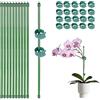 GEBETTER 10pz 30cm Bastoncini di Supporto Sostegno per Piante Rampicanti o Fiori in Vaso, Mini Tutori Verde Paletti per Piante Orchidee Pomodori