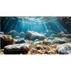 Didooou Immagine di sfondo 3D per acquario, colla in PVC per acquario, adesivi decorativi per acquari, adesivi per acquario boutique (ocean-1, 30 x 50 cm)