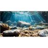 Didooou Immagine di sfondo 3D per acquario, colla in PVC per acquario, adesivi decorativi per acquari, adesivi per acquario boutique (ocean-1, 30 x 60 cm)